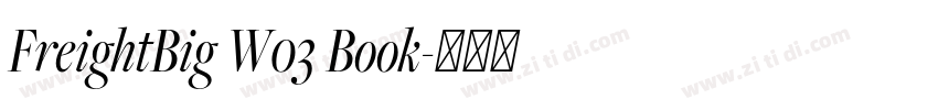 FreightBig W03 Book字体转换